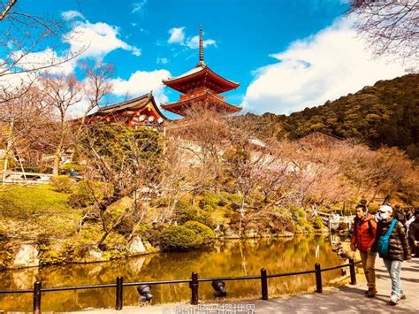 京都 長安|京都